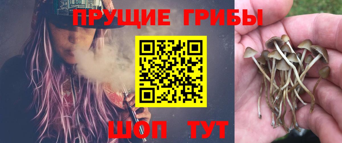 Мичуринск  Галлюциногенные грибы Cubensis  Галлюциногенные грибы MAGIC MUSHROOMS  Вход с VPN 